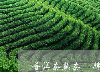 普洱茶熟茶 牌子/2023041045137